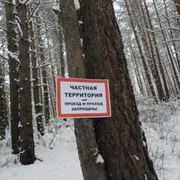 Депутат Госдумы от ЛДПР предлагает приватизировать леса, а россиянам ходить по грибы через КПП